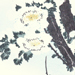 Holusai Katsushika Gallery
